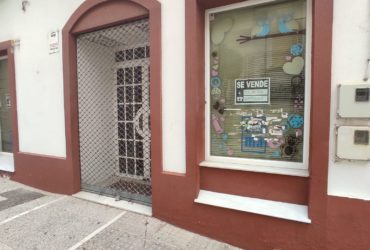 Local en Alquiler- C/Colón, 32      225 m2 Teléfono  607 87 88 01