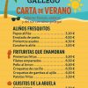 CARTA DE VERANO DEL RINCONTIO GALLEGO