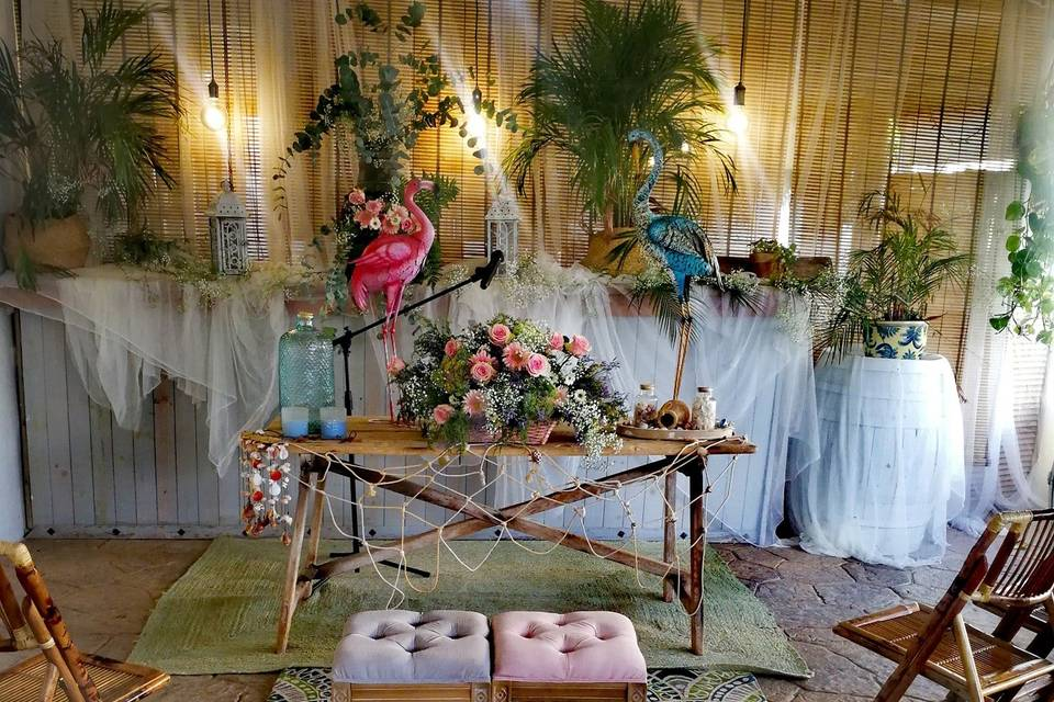 SALINA Y CELEBRACIONES “SAN VICENTE”